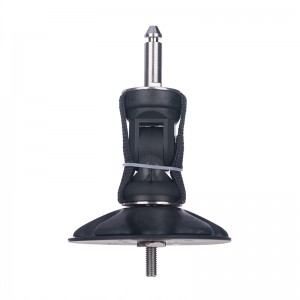 Base dell\'albero di windsurf.